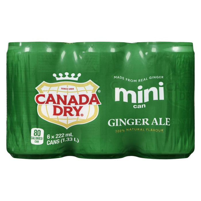 CANADA DRY ALE GINGER 6 x 222 ML