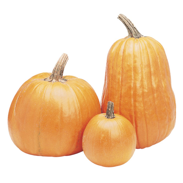 PUMPKINS