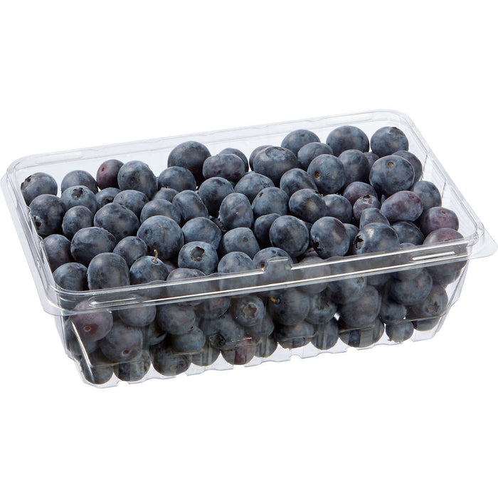 BLUEBERRIES (LARGE FORMAT)
